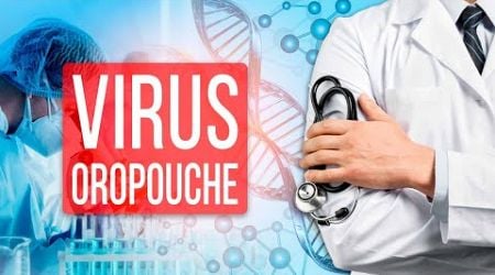 2024 Outbreak Oropouche Fever Virus dengue pandemic diseases ingrid sierra education rnc mike perry