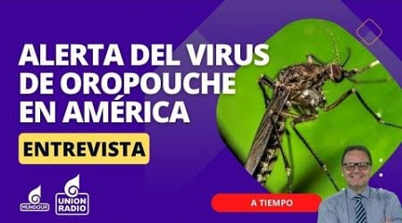 Virus de Oropouche: alerta de la OPS en el continente americano || A Tiempo