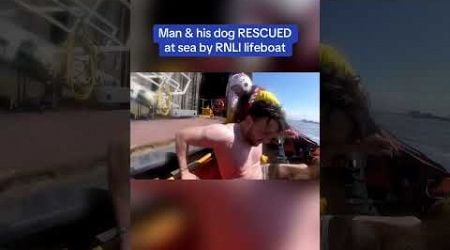 Intense moment man and his dog are rescued at sea by RNLI lifeboat