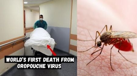 What is Oropouche Virus | What are the Symptoms of the Oropouche Virus | #OropoucheVirus
