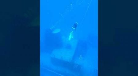 Ship wreck in Malta #freediving #underwater #shipwreck