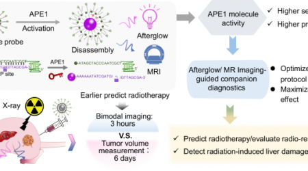 Imaging-guided companion diagnostics in radiotherapy by monitoring APE1 activity with afterglow and MRI imaging