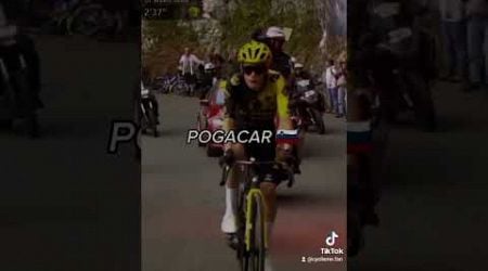 Et tu rajoutes Eddy merckx et tu as les 3 meilleurs de l&#39;histoire #cyclisme #cycling #pogacar #sport