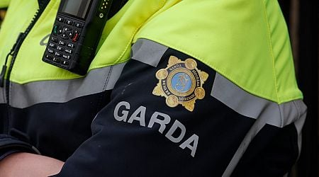 Boy (14) dies in Kilkenny following collision between car and e-scooter