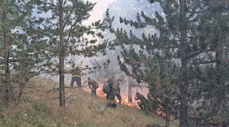 Fire Burning on Bulgarian-Greek Border Covers 70-100 Decares of Bulgarian Territory