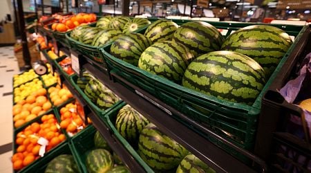 Food Price Index Down by 0.05% in One Week