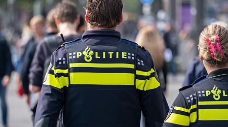 Ten arrests during Summer Carnival in Rotterdam; firearms confiscated