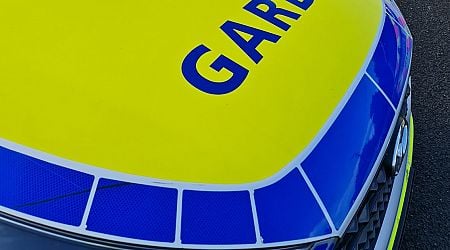 Gardai nab disqualified motorist driving under influence of drugs