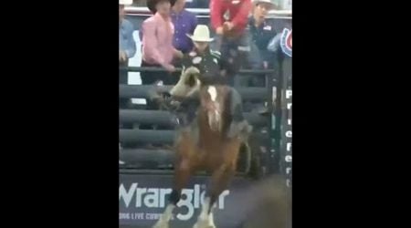 Dawson Hay 87.5 pts on Andrews Rodeo&#39;s Gypsy Rose