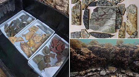 Astonishing ancient Roman mosaic discovered underwater off Italian coast