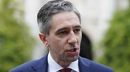 Gardai probe sinister online knife threats to Taoiseach Simon Harris and his family 