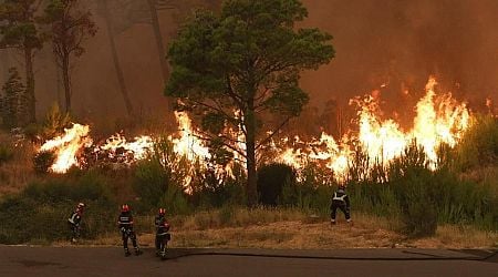 Croatia firefighters report toughest day. North Macedonia could seek NATO help against wildfires