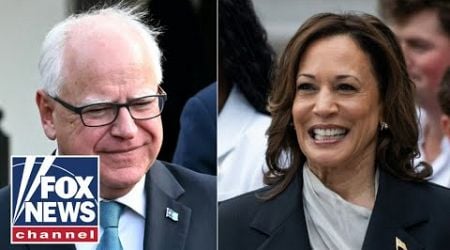 Tim Walz reportedly selected as Kamala Harris&#39; VP