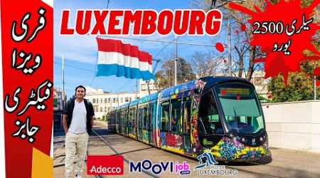 Luxembourg Country Work Visa || Luxembourg Skilled &amp; Unskilled Jobs 2024 || Urgent Hiring #work