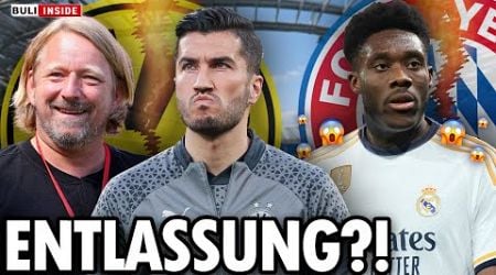 XXL-WENDE bei DAVIES! BOSS-BEBEN beim BVB! PSG holt EINTRACHT-STAR!