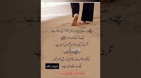 Whatsapp Urdu Hindi status video#firyou#shortsfeed#shortsyoutube#trending#viral#urdupoetry#sadstatus