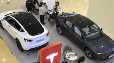 Tesla included in Fujian's government procurement list