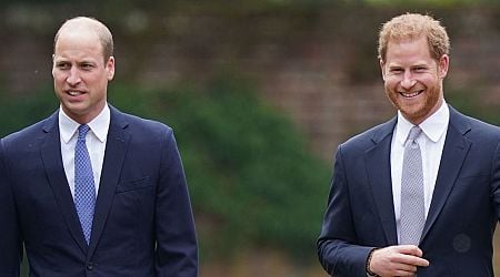 Prince Harry and William's bond is 'dire' but there's a glimmer of hope, claims insider