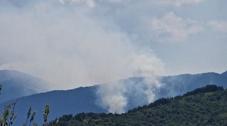 Close to 180 People, Two Spanish Aircraft Involved in Firefighting Efforts in Slavyanka Mountain