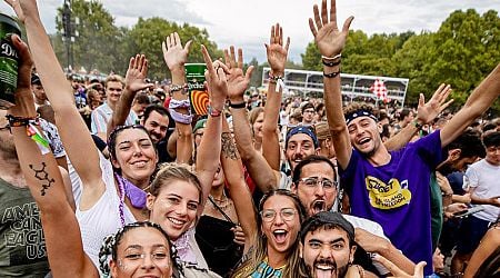 Foreign police officers helping Hungarian counterparts at Sziget Festival