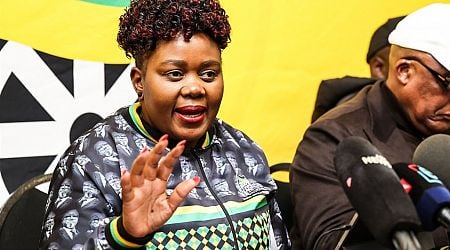 Basic Income Grant announcement was not an election gimmick, says ANC