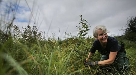 Irish people are taking positive actions for our climate and momentum is building