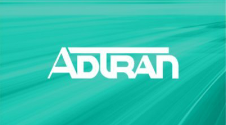 Adtran Holdings Inc (ADTN) Q2 2024 Earnings Call Transcript Highlights: Revenue Decline Amidst Strategic Gains