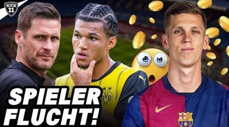 3 BVB-STARS WEG! SO TEUER ist OLMO! | KickNews