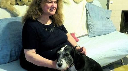 Blind woman 'humiliated' by Dublin taxi driver who refused to allow guide dog in car