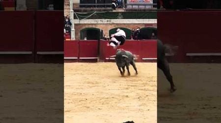 Toro Arena Valencia Spain #toro #aren Valencia #Valencia #matador #bogaguresI #Spain #ispanya #short