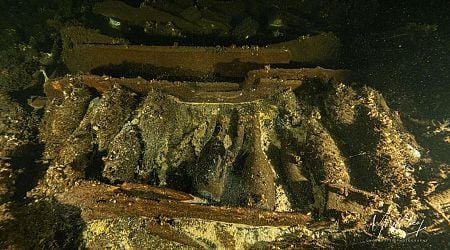 Champagne found on 19th-century shipwreck off Sweden is declared off limits