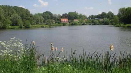 Anderlecht outdoor swimming plans move forward