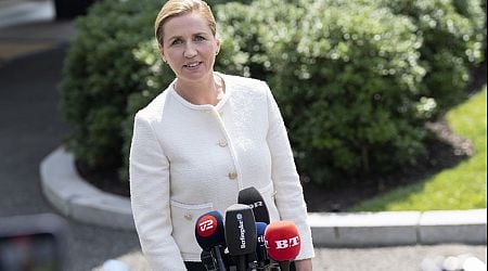 Man who attacked Danish prime minister sentenced to four months in prison, deported