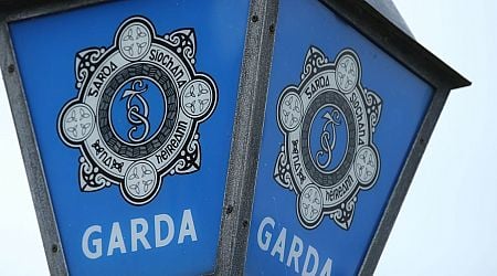 Garda criticises online misinformation on social media and messaging apps around sudden death of man in Dublin