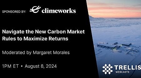 Navigate the New Carbon Market Rules to Maximize Returns