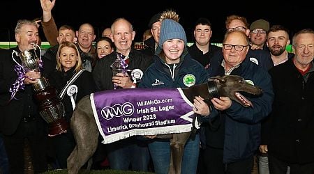 Irish St Leger semi-finals take centre stage on great night of greyhound racing