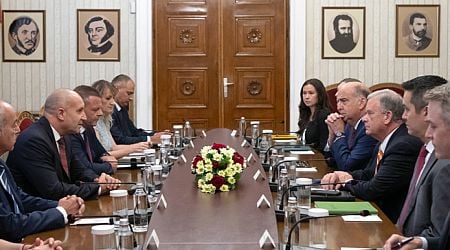 President Rumen Radev holds talks with US Nuclear Regulatory Commissioner David Wright