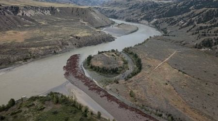 Indigenous nation closes bridge over B.C.'s Chilcotin River