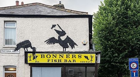 Banksy's fifth animal-themed mural spotted: Pelicans perch in Walthamstow