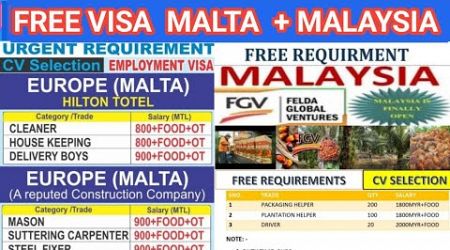 Free Requirement For Malta Malaysia | Europe Driver Opretor Job Vacancy 2024, Malta Job Vacancy 2024