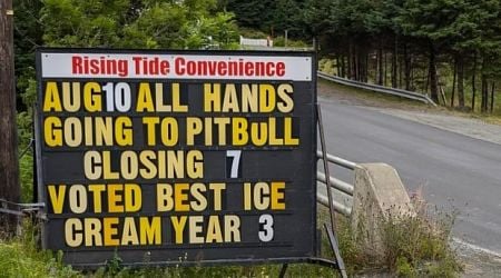 Pitbull's on and we're off: Ice cream shop workers opt for some team-building at concert