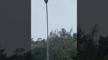 Flugzeug Absturz Brasilien | 09.08.2024