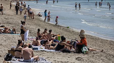 Spain considers 'new law' for tourists as number of Brits visiting continues to rise