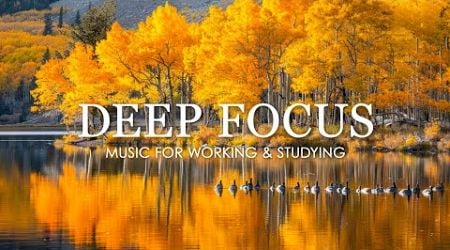 Work Music for Concentration - 12 Hours of Ambient Study Music to Concentrate #9