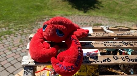 This plush lobster toy is hitching rides with Canadians to travel from the Maritimes to Alberta