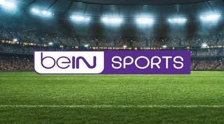 Anderlecht vs Oud-Heverlee Leuven Live Stream [Full Match] | EN VIVO