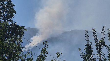 Greece does not extinguish the fire in its part of Slavyanka mountain, it might enter Bulgaria