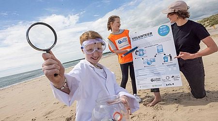 Registrations are now open for the Big Beach Clean 2024