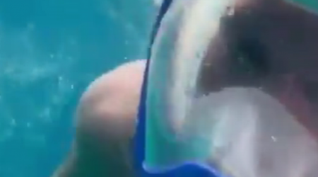 Conor McGregor goes deep-sea swimming during sun-soaked family holiday