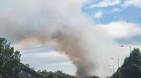 Firefighters tackling gorse blaze in Dublin mountains, emergency services receive over 200 calls